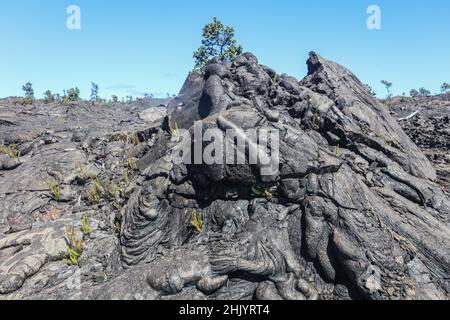 Una 'sea' di lava si estende da Kilauea fino al mare su Big Island. Foto Stock