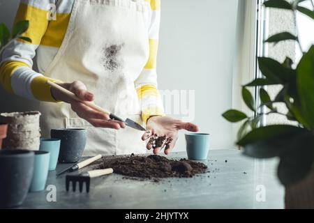 Donna che mostra le mani sporche a terra mentre trapiantano le piante d'appartamento. Foto di alta qualità Foto Stock