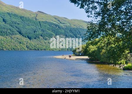 Loch Lomond al punto panoramico di Firkin Point, vicino a Luss. Loch Lomond e Trossachs National Park, West Dumbartonshire, Scozia, Regno Unito Foto Stock