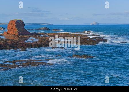 Guardando verso ovest lungo l'estuario da John Muir Way a Dunbar. Bass Rock. Vicino al porto di Dunbar. Lothian orientale, Scozia, Regno Unito Foto Stock