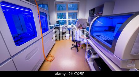 Greifswald, Germania. 01st Feb 2022. L'assistente tecnico medico Kathrin Rosa controlla i risultati dei campioni dell'automat illuminato blu nel laboratorio PCR presso il Centro medico Universitario. Negli ultimi due anni sono stati testati oltre 170.000 campioni per il coronavirus nei laboratori del Friedrich Löffler Institute for Medical Microbiology. Ogni giorno vengono eseguiti tra 350 e 700 nuovi test PCR. Credit: Jens Büttner/dpa-Zentralbild/dpa/Alamy Live News Foto Stock