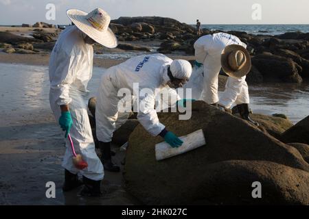 Rayong, Rayong, Tailandia. 31st Jan 2022. Il personale militare, i volontari e il pubblico ripuliscono le fuoriuscite di petrolio sulle rocce e sulle spiagge a seguito di una fuga di petrolio greggio della Star Petroleum Refining Company in un unico punto di ormeggio nel mezzo del mare o di trasferimento offshore del petrolio. (Credit Image: © Atiwat Siltamethanont/Pacific Press via ZUMA Press Wire) Foto Stock