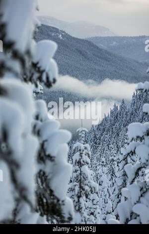 Washington Snowy Winter Mountains allo Snoqualmie Pass Foto Stock