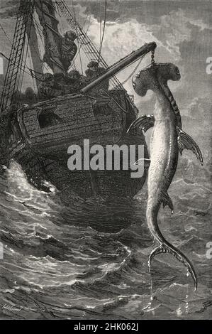 Pesca in barca per lo squalo di Hammerhead nelle acque di Anastasia Island, Florida, Stati Uniti d'America. Vecchio 19th secolo inciso illustrazione da quattro mesi in Florida da Achille Poussielgue, le Tour du Monde 1870 Foto Stock