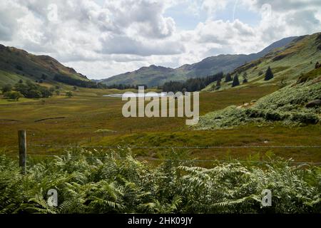 guardando verso il lago blea tarn in una piccola valle tra grande langdale e il distretto di lago di little langdale, cumbria, inghilterra, regno unito Foto Stock