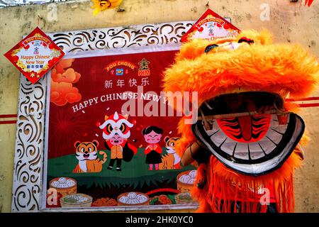 Kolkata, India. 01st Feb 2022. Un uomo vestito in un costume da drago visto durante la celebrazione del Capodanno lunare. Il Capodanno lunare cade il 1 febbraio, per accogliere l'anno della Tigre e il suo celebrato dai cinesi in tutto il mondo. Credit: SOPA Images Limited/Alamy Live News Foto Stock