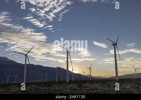 Fattoria di turbine eoliche a Palm Springs, California USA il 1 febbraio 2022. Foto di Francis Specker Foto Stock