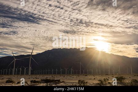 Fattoria di turbine eoliche a Palm Springs, California USA il 28 gennaio 2022. Foto di Francis Specker Foto Stock