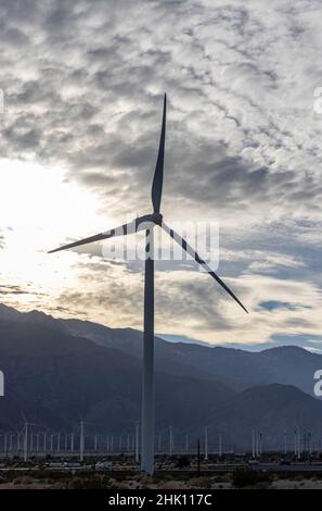 Fattoria di turbine eoliche a Palm Springs, California USA il 28 gennaio 2022. Foto di Francis Specker Foto Stock