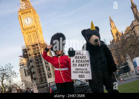 LONDRA, GENNAIO 31 2022, l'orso del PETA fuori delle case del parlamento come una di una campagna intesa per sollecitare il Ministero della Difesa a far cadere la guardia della regina l'uso di veri berretti di bearskin Foto Stock