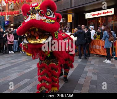 Londra, Inghilterra, Regno Unito 1 Febbraio 2022 folle si riuniscono a China Town per celebrare il Capodanno cinese, quest'anno visitato da Camilla, Duchessa di Cornovaglia e Principe Carlo. Draghi e batteristi cinesi intrattengono la folla Foto Stock