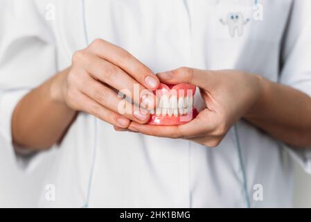 Il dentista tiene le dentarie nelle sue mani. Protesi dentaria nelle mani del dentista ortopedico. Vista frontale della dentiera completa. Conc. Odontoiatria Foto Stock