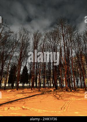 Inverno sera parco nella neve con una fila di alberi, l'illuminazione della strada della città e il cielo cupo dall'alto brillano attraverso di loro Foto Stock