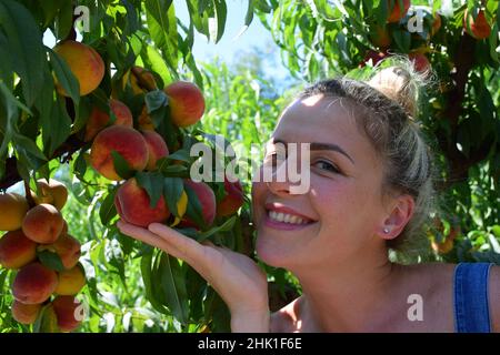 La ragazza bionda attraente tiene un ramo di un albero di pesca con frutti abbondanti con la sua mano e sorrisi Foto Stock