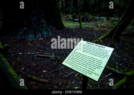 Armstrong Redwoods è un piccolo stand di sequoie appena a nord di Guerneville, California. Foto Stock