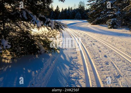 Piste da sci di fondo ben curate al Craftsbury Outdoor Centre di Craftsbury, VT, USA. Foto Stock