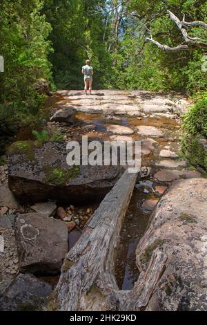 Donna alle Adamsons Falls Foto Stock