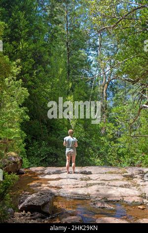 Donna alle Adamsons Falls Foto Stock