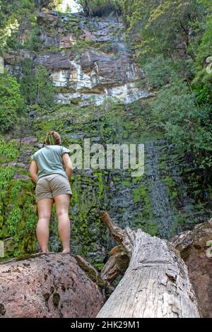 Donna alle Adamsons Falls Foto Stock