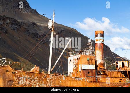 Oceano meridionale, Georgia meridionale, King Edward Cove, Grytviken, stazione di caccia alle balene di Grytviken. Una nave arrugginita siede nel porto. Foto Stock