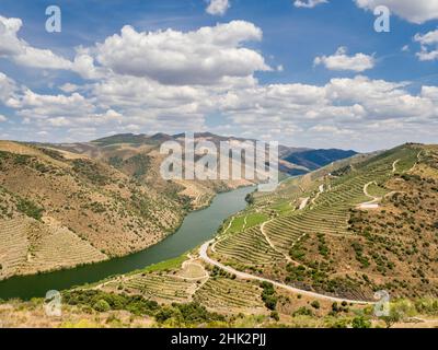 Portogallo, Valle del Douro. Fiume Douro nella regione vinicola del Portogallo e vigneti sulle colline lungo la valle del fiume Douro. Foto Stock