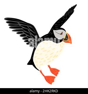 Puffin volare isolato su sfondo bianco. Cute vita seabird in riva al mare, ha colore bianco e nero, ha becco arancione e gambe. In stile doodle vect Illustrazione Vettoriale