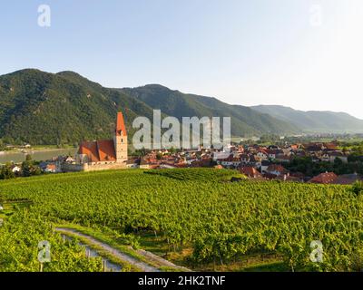 Il villaggio storico di Weissenkirchen è situato nella zona vinicola, patrimonio dell'umanità dell'UNESCO. Austria inferiore Foto Stock