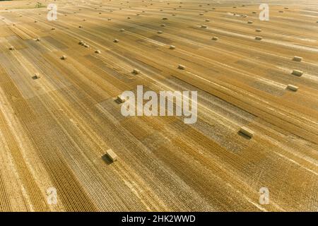 Vista aerea di grandi balle quadrate di paglia di grano in campo, Clay County, Illinois Foto Stock