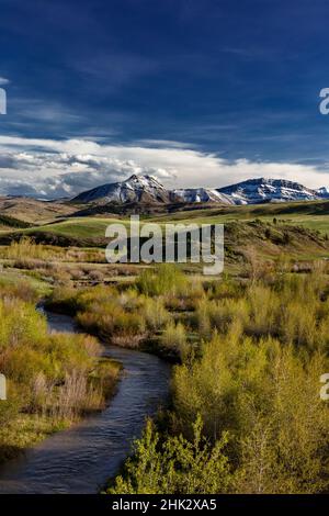 Elk Creek con neve fresca sul monte Steamboat lungo il Rocky Mountain Front vicino Augusta, Montana, USA Foto Stock