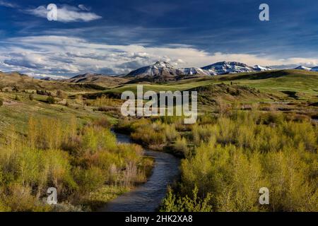 Elk Creek con neve fresca sul monte Steamboat lungo il Rocky Mountain Front vicino Augusta, Montana, USA Foto Stock