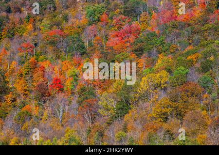 USA, New England, Vermont, Plymouth, colori autunnali in collina Foto Stock