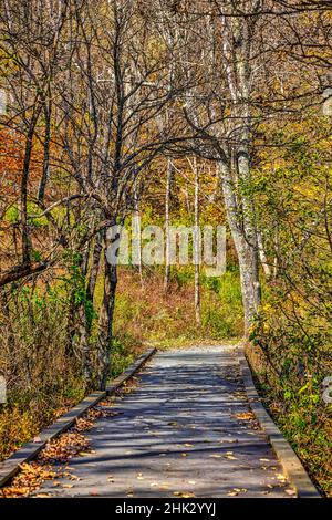 USA, Virginia, Parco Nazionale di Shenandoah, colori autunnali nel parco Foto Stock