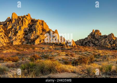 Massi di granito saltati a Council Rocks nelle montagne Dragoon nella Foresta Nazionale di Coronado, Arizona, Stati Uniti Foto Stock