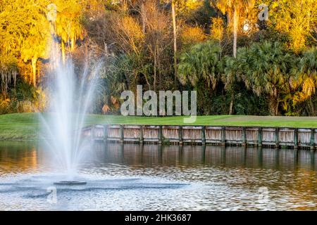 USA, Florida, Celebration. Ultima luce sul campo da golf Celebration Foto Stock