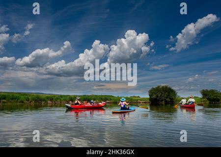USA, Idaho. Chi è in moto d'acqua può godersi una giornata di sole sul fiume Teton, nella valle di Teton Foto Stock