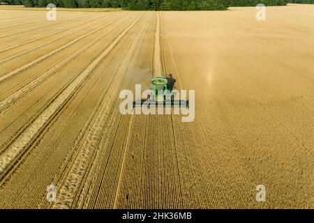 Vista aerea della mietitrebbia per la raccolta del grano, Marion County, Illinois Foto Stock