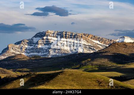 La fresca neve primaverile adorna il monte Steamboat lungo il Rocky Mountain Front vicino Augusta, Montana, USA Foto Stock