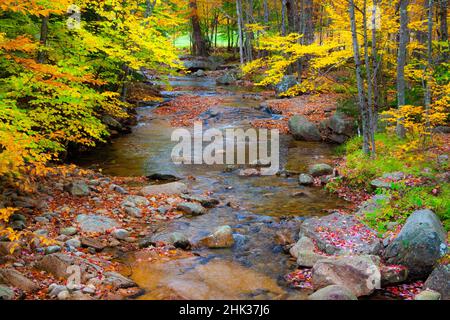 USA, New Hampshire, New England, Jackson piccolo ruscello circondato da colori autunnali Foto Stock