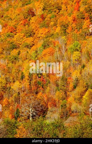 USA, New England, Vermont, Plymouth, colori autunnali in collina Foto Stock