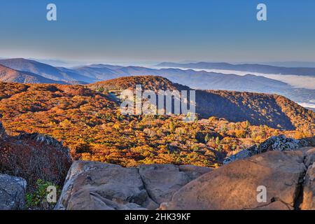 USA, Virginia, Parco Nazionale di Shenandoah, colori autunnali nel parco Foto Stock