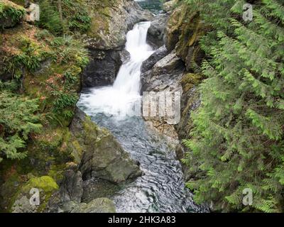 Washington state, Olallie state Park, Twin Falls, Upper Fall sul fiume Snoqualmie Foto Stock