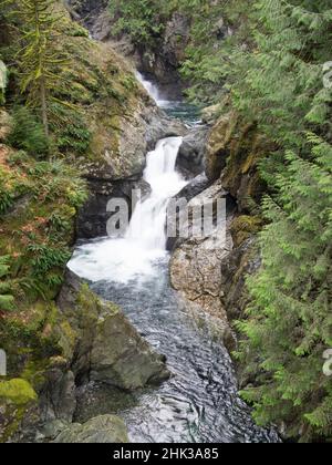 Washington state, Olallie state Park, Twin Falls, Upper Fall sul fiume Snoqualmie Foto Stock