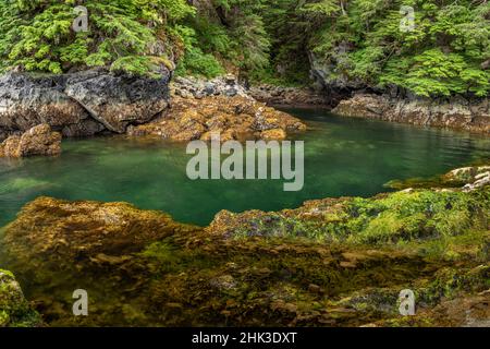 USA, Alaska, Chichagof Island. Panoramica di Basket Creek. Credit as: Don Paulson / Galleria Jaynes / DanitaDelimont.com Foto Stock