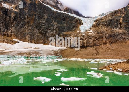 Il ghiacciaio Angel e gli iceberg sull'acqua di fusione, Mount Edith Cavell, Jasper National Park, Alberta, Canada. Foto Stock