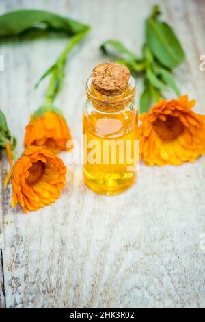 L'estratto di calendula. Piante medicinali. Messa a fuoco selettiva. Foto Stock