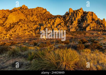 Massi di granito saltati a Council Rocks nelle montagne Dragoon nella Foresta Nazionale di Coronado, Arizona, Stati Uniti Foto Stock