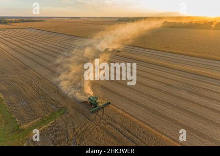 Vista aerea delle mietitrebbie che raccolgono soia e scaricano nel carro a coclea al tramonto, Marion County, Illinois Foto Stock