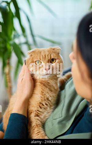 Donna seduta sulla poltrona tenendo gatto zenzero carino, femmina abbracciando il suo carino capelli lunghi kitty, giocando con gatto a casa verde, concetto di giardino di casa Foto Stock