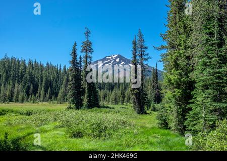 Deschutes National Forest e Mount Bachelor, Bend, Oregon, USA Foto Stock