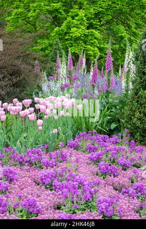 Longwood Gardens, fiori di primavera, Kennett Square, Pennsylvania, STATI UNITI D'AMERICA Foto Stock